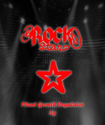 Rockstar