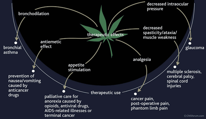 hanf medizin