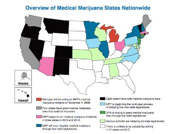 medmj-chart